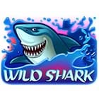 Wild Shark screenshot